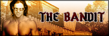 The Bandit's Banner